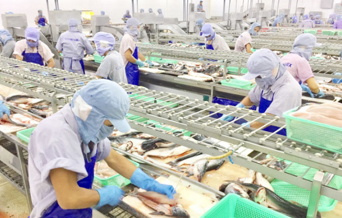 Bản mô tả công việc công nhân chế biến thủy hải sản