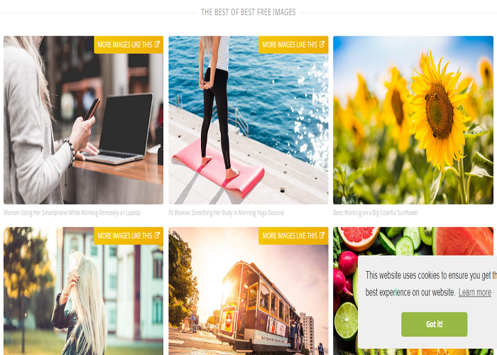 10 Website cung cấp ảnh Stock miễn phí Designer cần biết