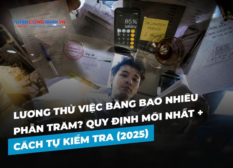 Lương Thử Việc Bằng Bao Nhiêu Phần Trăm? Quy Định Mới Nhất + Cách Tự Kiểm Tra (2025)