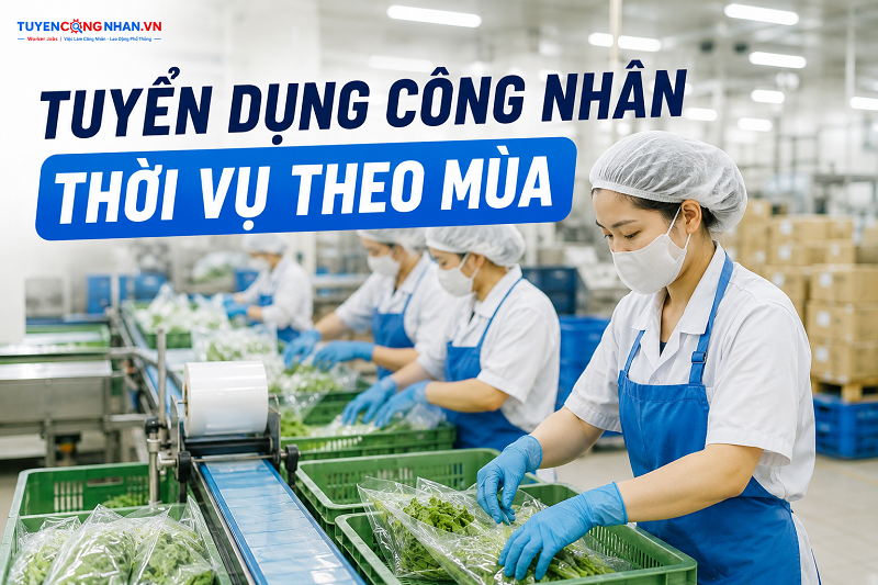 Tuyển dụng công nhân thời vụ theo mùa: Làm sao tuyển đủ người khi nhu cầu tăng cao?