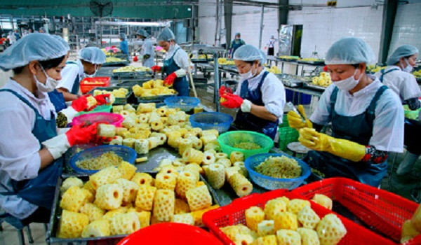 Công nghiệp chế biến rau quả, miếng bánh ngon đang bị bỏ ngỏ…