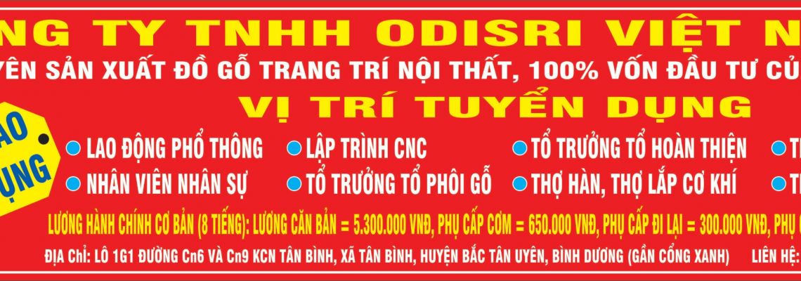 Công ty TNHH Odisri Việt Nam 