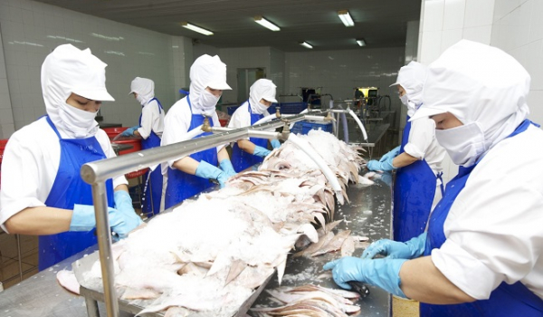 Bản mô tả công việc công nhân chế biến thủy hải sản và mức lương hiện nay